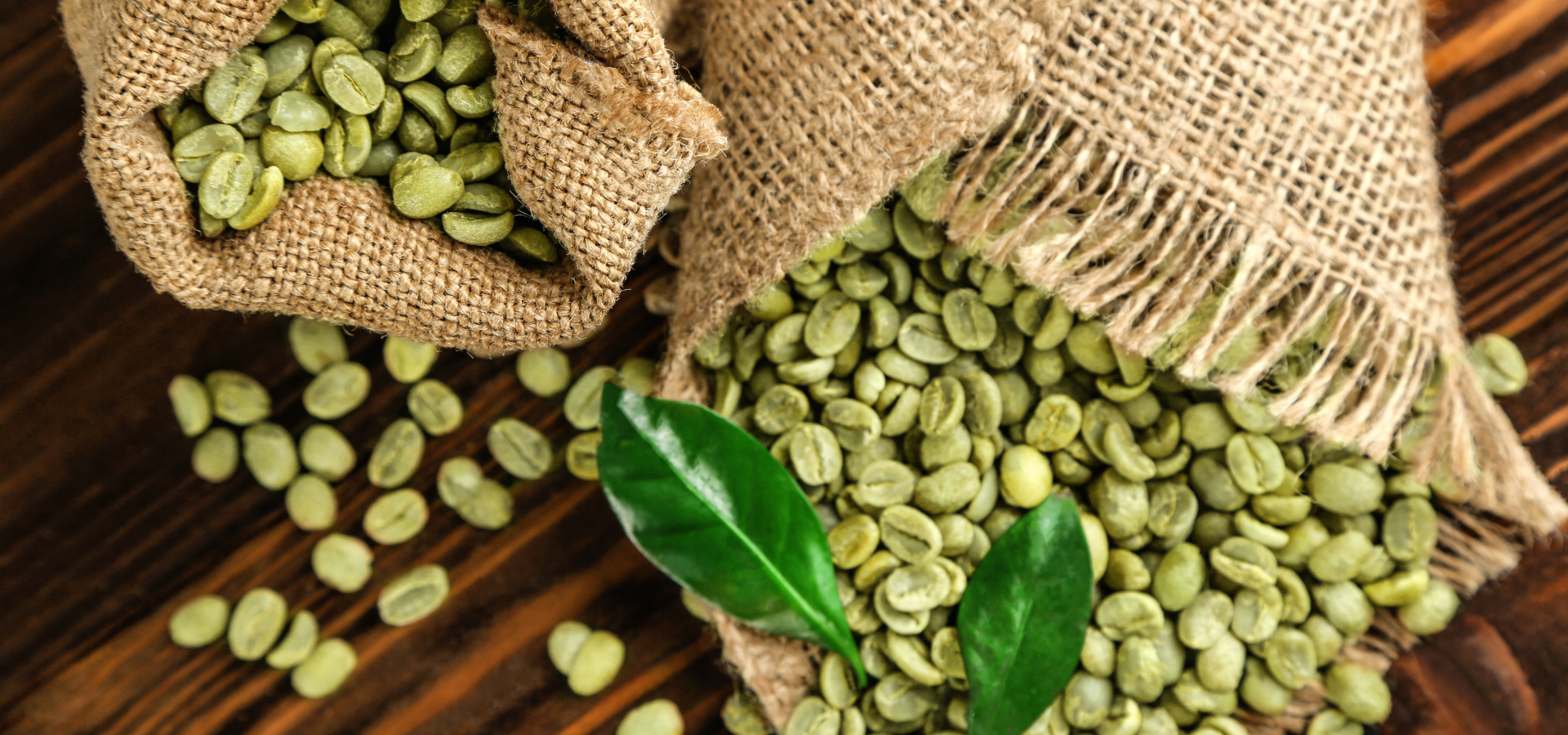 Proces vytváření CBD oleje